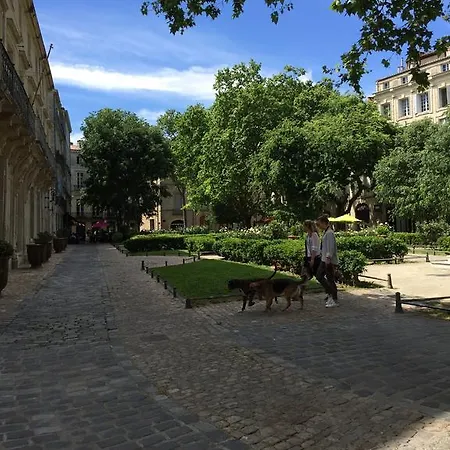 Vieille Intendance Apartment Montpellier